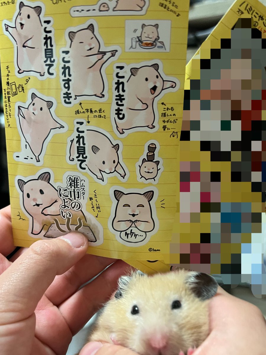 Telcha_'s tweet photo. ハミにやさしくのシール、やってきた！
シークレット㊙️出た！
どらやきは元気いっぱい https://t.co/LqAd0RyqtN