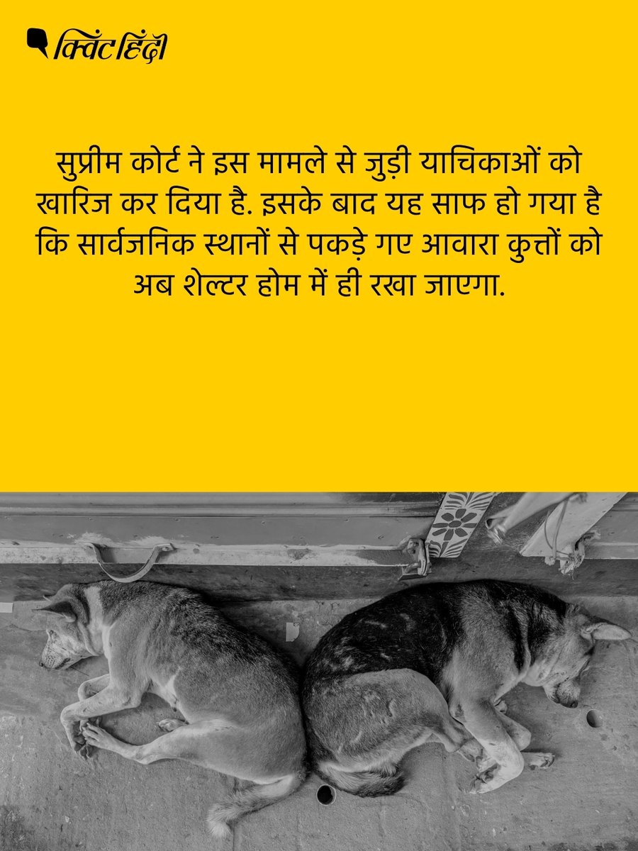 QuintHindi's tweet photo. सुप्रीम कोर्ट ने आवारा कुत्तों को लेकर अपने पहले के आदेश में बदलाव से इनकार कर दिया है. पिछले साल नवंबर में शीर्ष अदालत ने अपने आदेश में कहा था कि अस्पतालों, बस अड्डों, स्कूलों, रेलवे स्टेशनों जैसी सार्वजनिक जगहों से पकड़े गए आवारा कुत्तों को टीकाकरण या नसबंदी के बाद उसी जगह पर वापस नहीं छोड़ा जाएगा.

#streetdog #supremecourt #animalwelfare