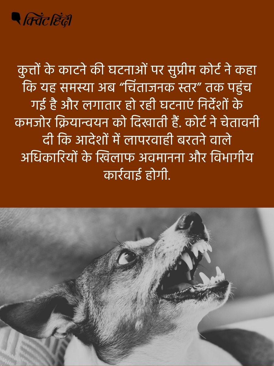 QuintHindi's tweet photo. सुप्रीम कोर्ट ने आवारा कुत्तों को लेकर अपने पहले के आदेश में बदलाव से इनकार कर दिया है. पिछले साल नवंबर में शीर्ष अदालत ने अपने आदेश में कहा था कि अस्पतालों, बस अड्डों, स्कूलों, रेलवे स्टेशनों जैसी सार्वजनिक जगहों से पकड़े गए आवारा कुत्तों को टीकाकरण या नसबंदी के बाद उसी जगह पर वापस नहीं छोड़ा जाएगा.

#streetdog #supremecourt #animalwelfare