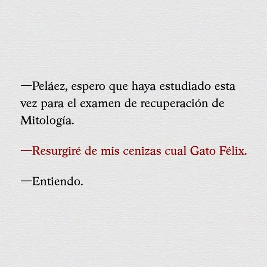 Gal GaNot tweet media