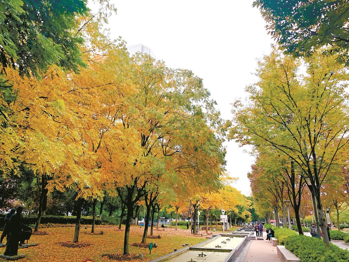 KayMonahan's tweet photo. Just felt the first cool autumn breeze —the season of cozy sweaters, pumpkin lattes and golden walks is here! ， https://t.co/hXC6GBWf8T