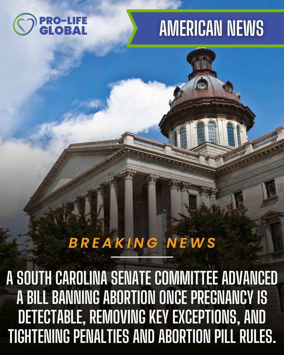ProLifeGlobal's tweet photo. From state capitols to marches in the streets, the conversation around life continues to grow louder.

Read all the articles here: https://t.co/hizbT8xNud 

#ProLife #ChooseLife #CultureOfLife #RightToLife #StandForLife #LifeIsPrecious #ProtectLife #StayInformed #ProLifeMovement https://t.co/91EO7DI55z