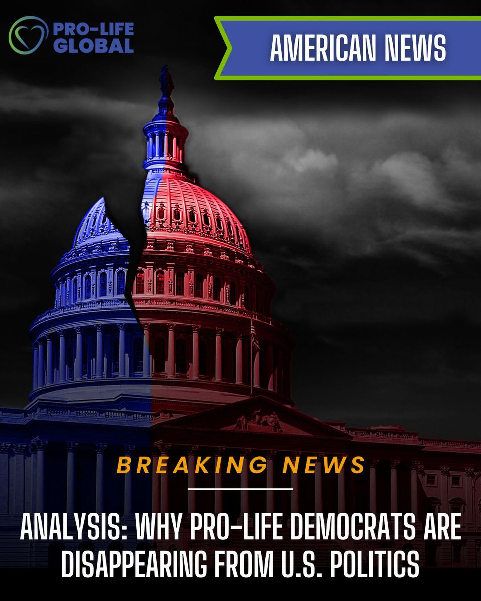 ProLifeGlobal's tweet photo. From state capitols to marches in the streets, the conversation around life continues to grow louder.

Read all the articles here: https://t.co/hizbT8xNud 

#ProLife #ChooseLife #CultureOfLife #RightToLife #StandForLife #LifeIsPrecious #ProtectLife #StayInformed #ProLifeMovement https://t.co/91EO7DI55z