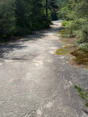 papigraybeard's tweet photo. Check out my latest video on TikTok: https://t.co/lIbAnTvlIt Mmmm McDonald’s sounds good #Hiking #hikingadventures #funny #outdoors #decompression #TikTok #ViralVideo #ExplorePage #ContentCreator #FunnyVideo https://t.co/M2Q7QAkMlc