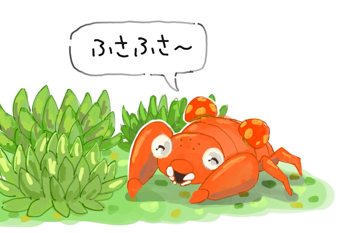 啓 tweet media