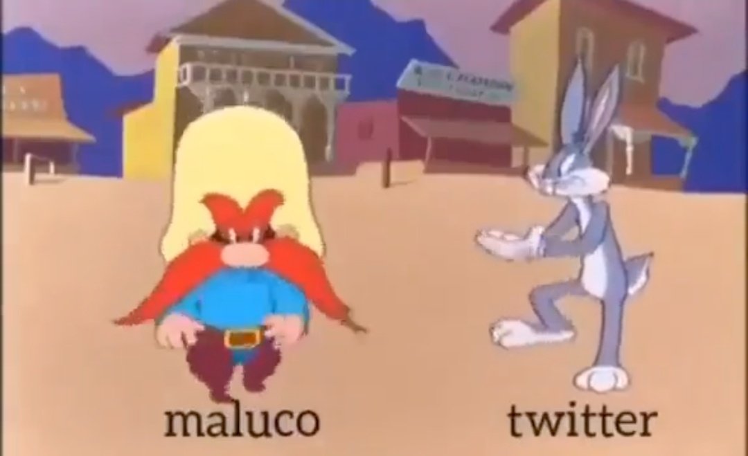 Cão negro tweet media