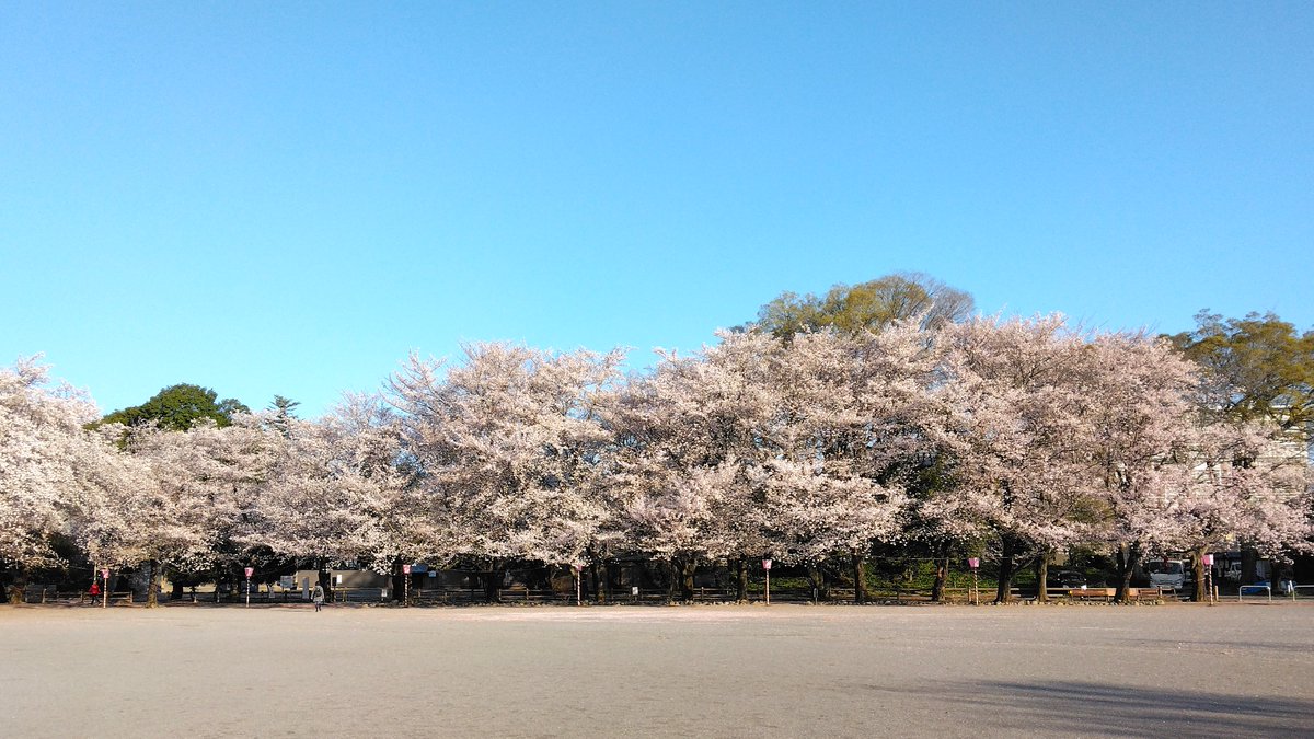 nabe133f's tweet photo. #鴻巣
鴻巣公園にて。 https://t.co/rWaLbBJPtJ