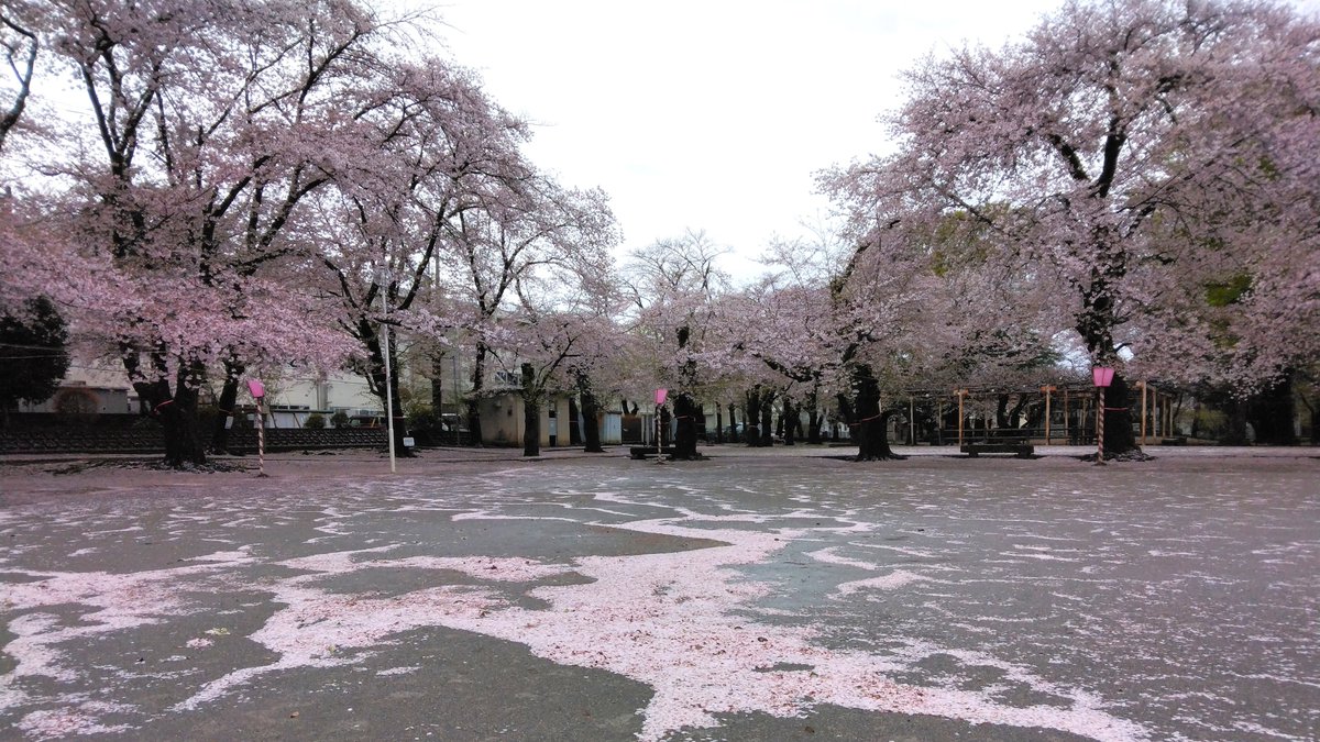 nabe133f's tweet photo. #鴻巣
鴻巣公園にて。 https://t.co/rWaLbBJPtJ