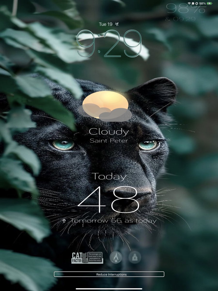 austynjohnson26's tweet photo. Moody setup ✨🌧️
#ShowLive by @seankly
Themes by @daddykool666 and @Zooropalg
Walls by @Deep_Screens
Icons are Blue Top4z by @MyLoveJewels
Widgets by @apple @shazam @WaterMinder_app @darknoiseapp and Lokman Salikoon.
Hope it brings some calm ✨🌧️ https://t.co/lvI15P6uVp