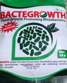 khamim_neutron's tweet photo. Bagi teman yg mau mengembangkan PGPR/mol akar dan tidak punya inokulan pgpr biakan murni boleh juga memanfaatkan bactegrowth. Produk berkualitas yg digawangi kawan yg saat ini sedang S3 virulogi.
(Gambar dr olsop) https://t.co/YM8tQ0UPbo