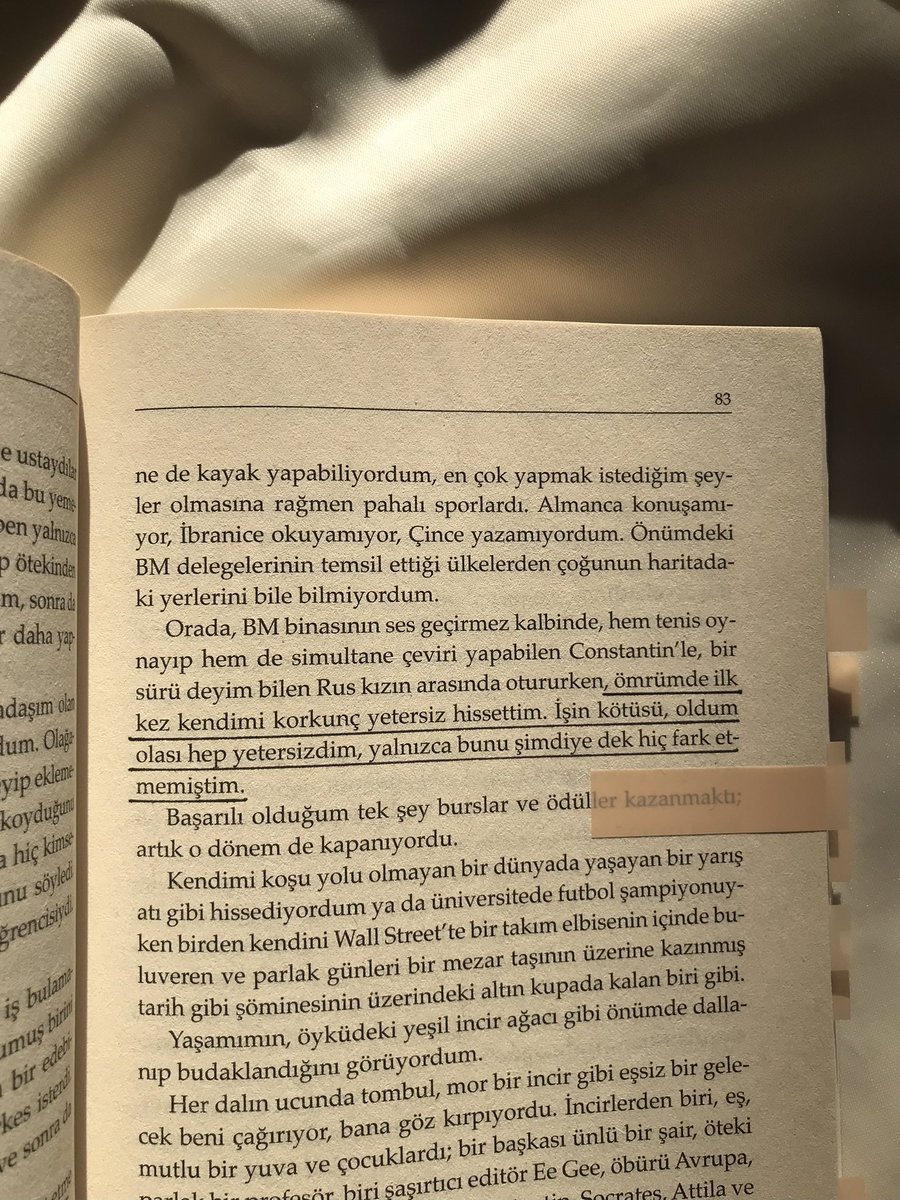 nora tweet media