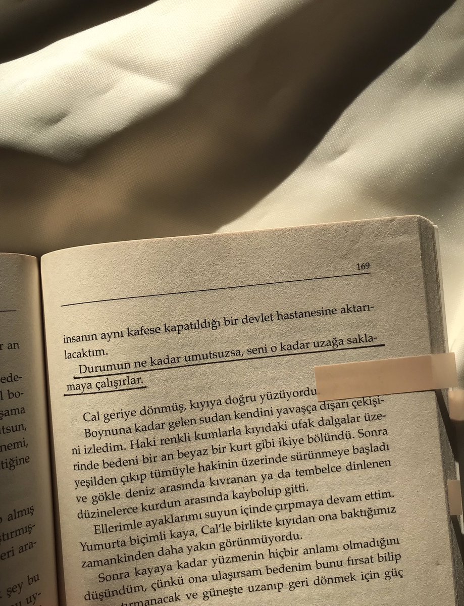 nora tweet media