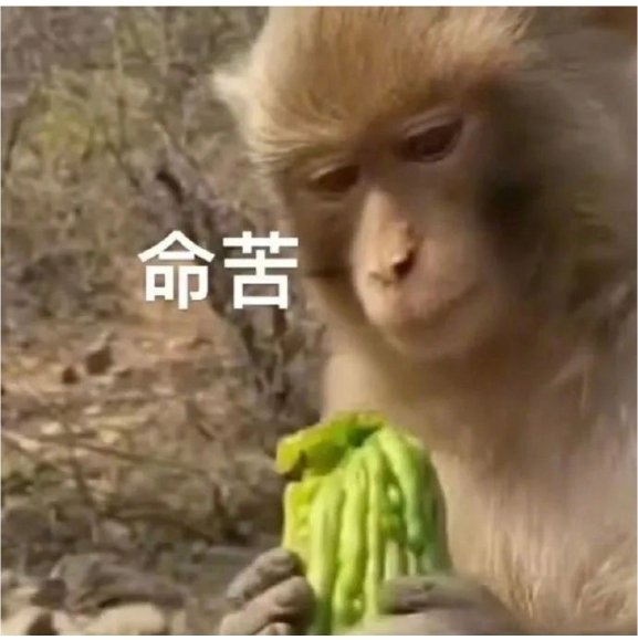 朽木 tweet media