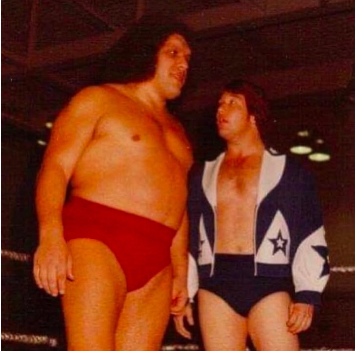 Ted DiBiase tweet media