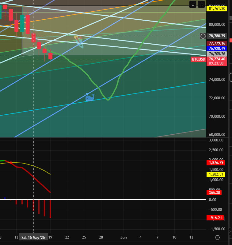 hivemindCT's tweet photo. #BTC market flush is on its way. Finally. https://t.co/1TQCKz0NN7