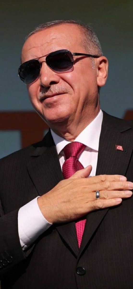 Ayseli Dogan tweet media