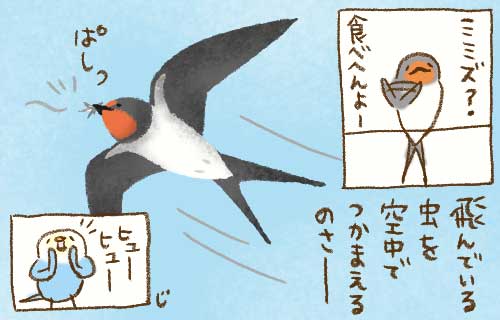 1日おきメモ（中原じゅん子） tweet media
