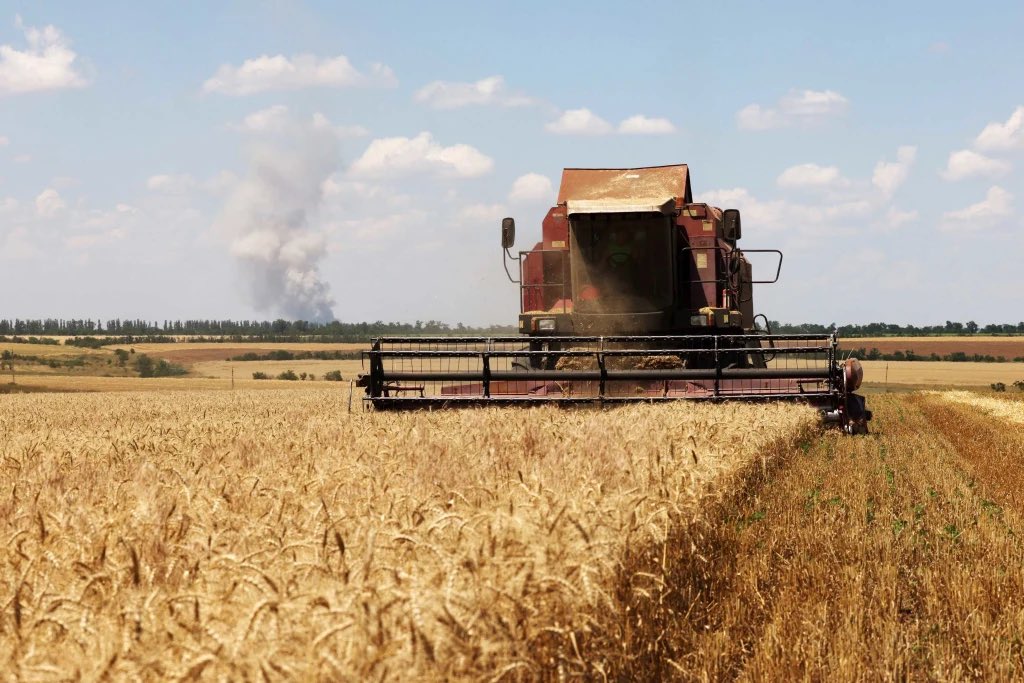 Rubryka - Solutions from Ukraine tweet media