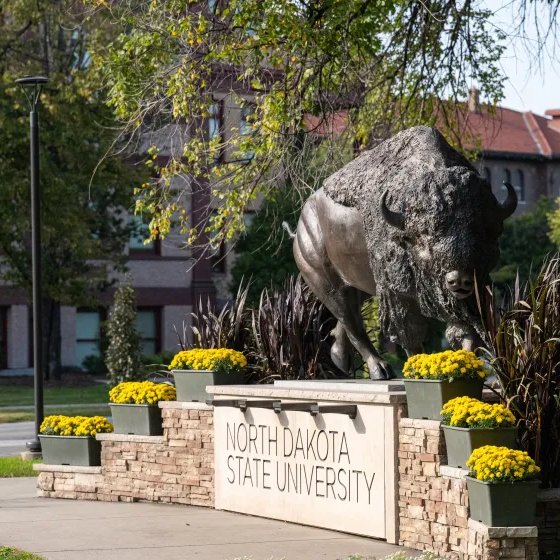 NDSU College of Arts & Sciences tweet media