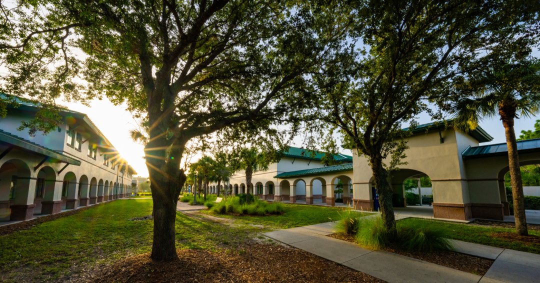 FGCU_VB's tweet photo. Our campus >>>

#WingsUp https://t.co/79vRO5EzSW