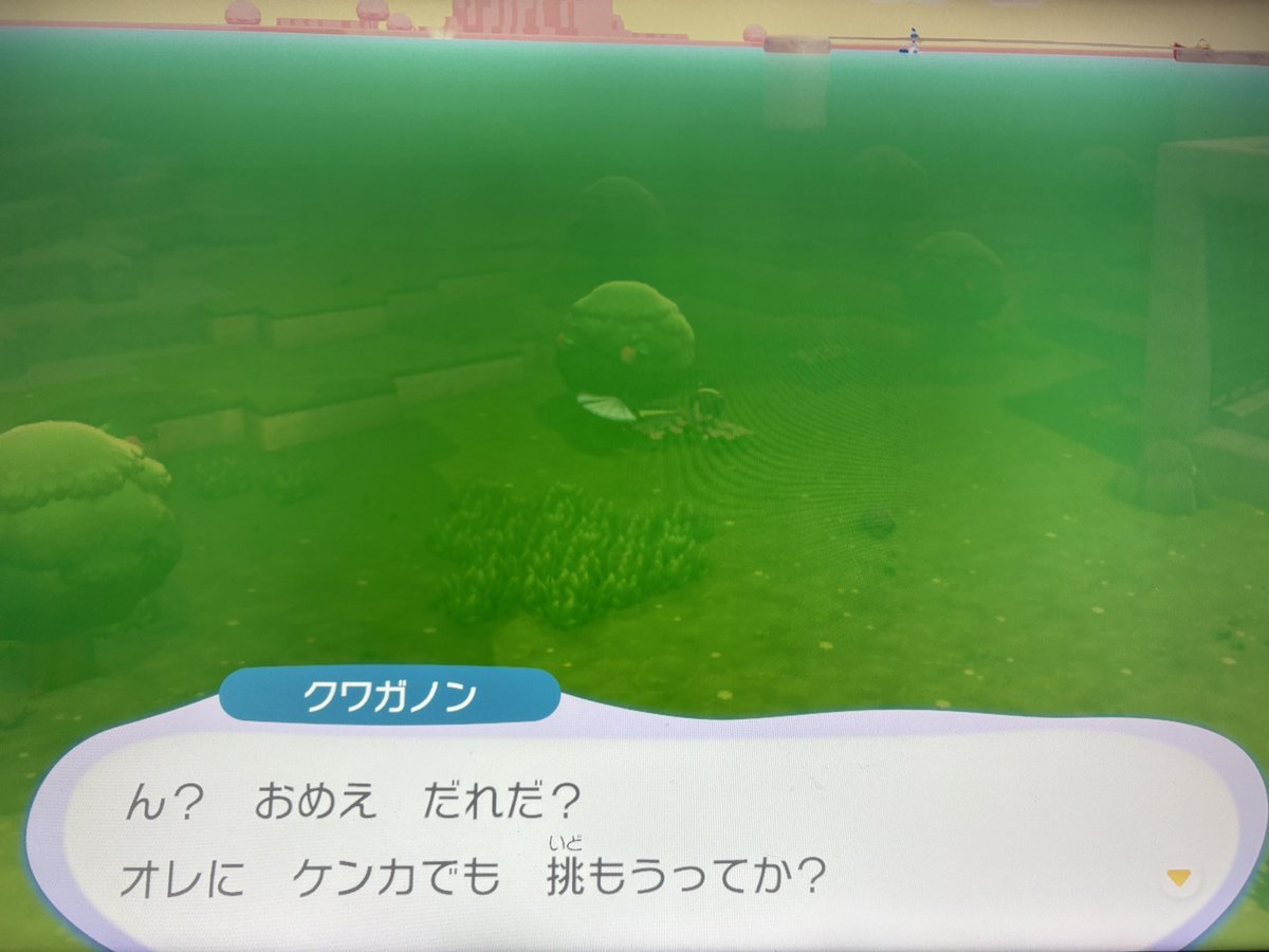 カブラナ tweet media