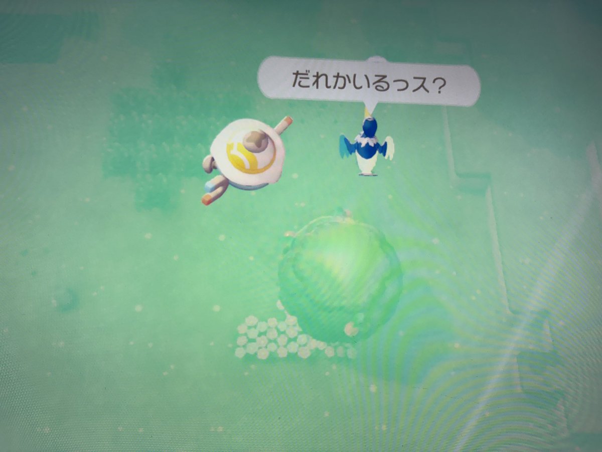カブラナ tweet media