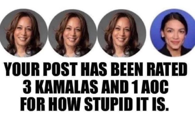 America 1st 🍊 tweet media