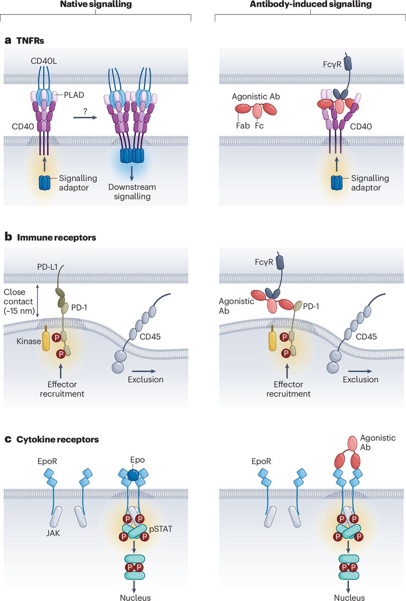 Nature Reviews Drug Discovery tweet media