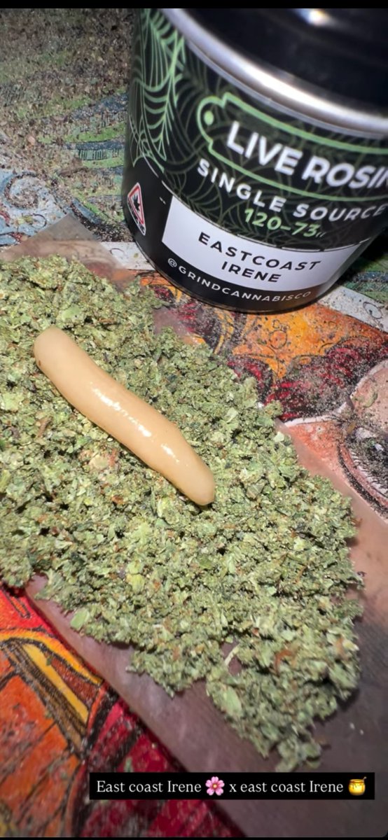 High Grade Herb🫙 tweet media