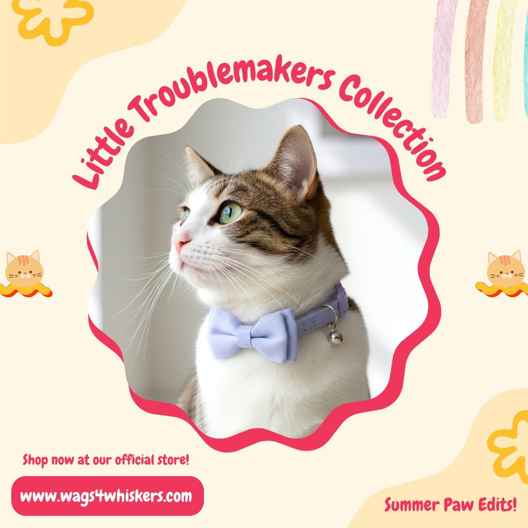 Wags4W's tweet photo. A little collection of pastel Cat collars made for the tiny stars who fill our homes with mischief, cuddles and everyday magic 🐾✨

🔗 Check out our store link in bio! 🐾

#Summerlaunch #catcollarsindia #catbowcollars #catlove #petcollars #petstoreindia #wags4whiskers https://t.co/Olwp2yZlYA