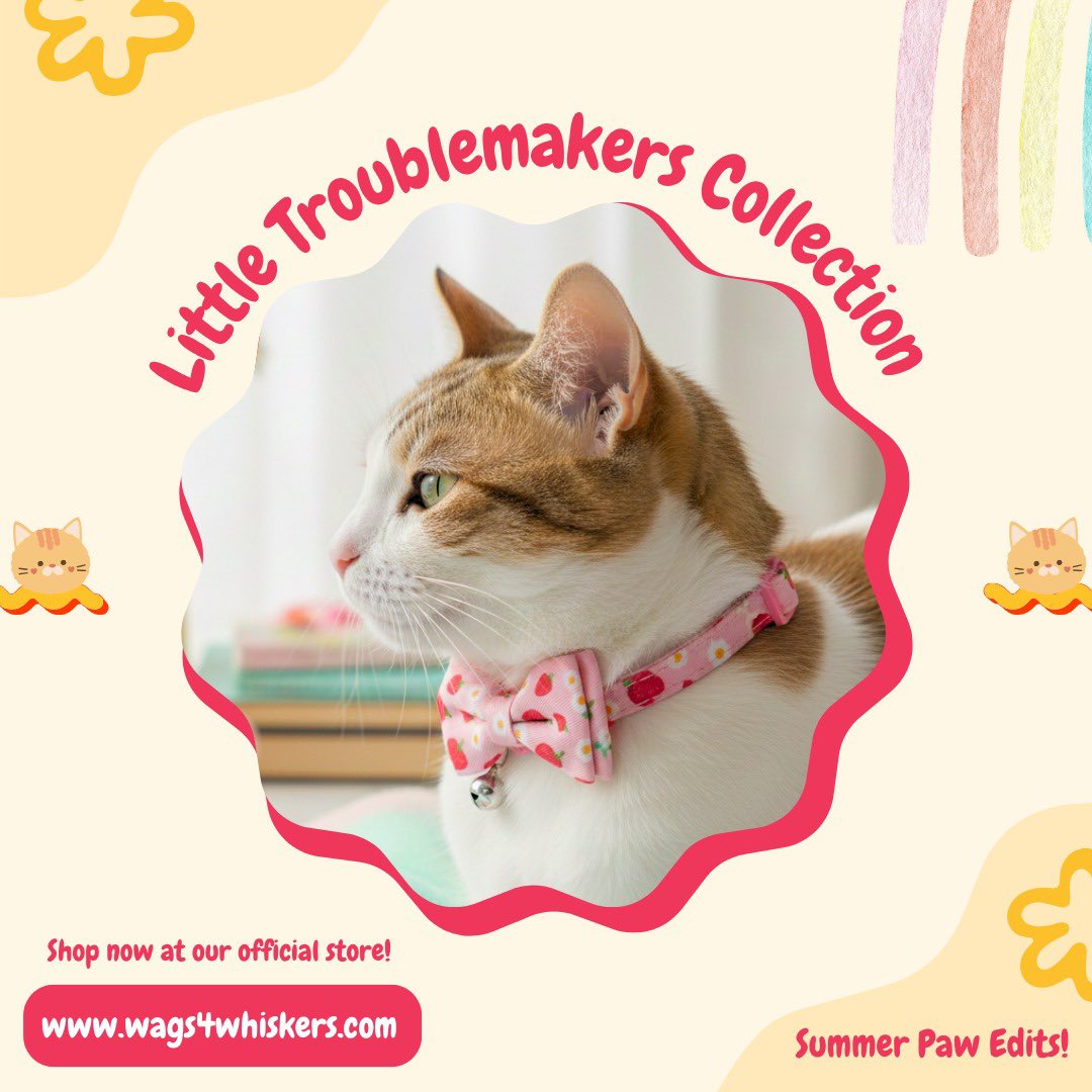 Wags4W's tweet photo. A little collection of pastel Cat collars made for the tiny stars who fill our homes with mischief, cuddles and everyday magic 🐾✨

🔗 Check out our store link in bio! 🐾

#Summerlaunch #catcollarsindia #catbowcollars #catlove #petcollars #petstoreindia #wags4whiskers https://t.co/Olwp2yZlYA