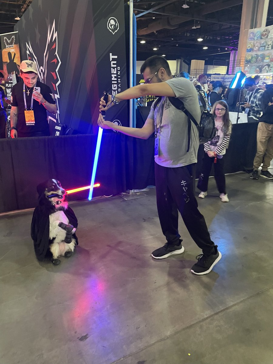 LmpacTzz's tweet photo. This adorable doggo gave me the greatest picture ive ever taken. Give it its own platform https://t.co/7UCP6yzlP6