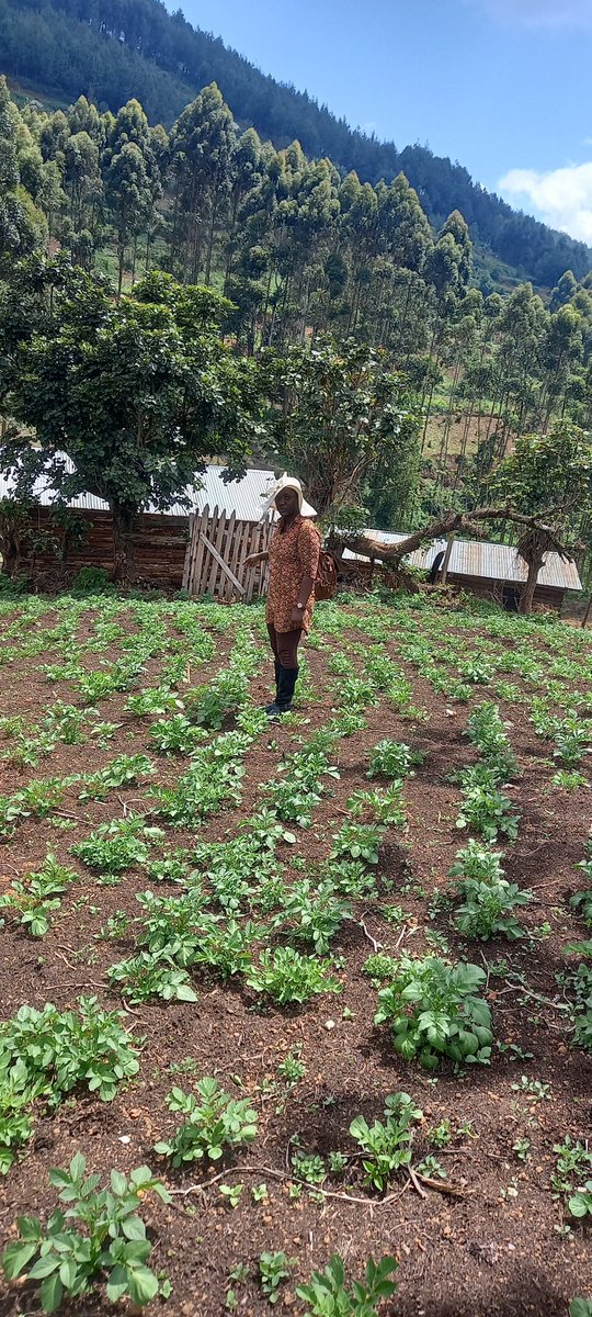 EvelyneNinsiim1's tweet photo. Reminder: It's Kisaja NO MORE SLEEP. Use your expertise, capability talent to ensure we achieve the Tenfold strategy growth. The Rubanda Woman Mp 2026 -2031 is a farmer#Omuhingi #Sustainable development consultant #champions climate change and Environment Management @KigeziTv https://t.co/YoIpZwVMo4