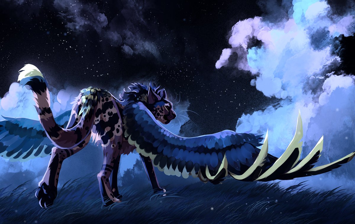 Kazideus's tweet photo. Wish Monger https://t.co/WVc0NMetDv