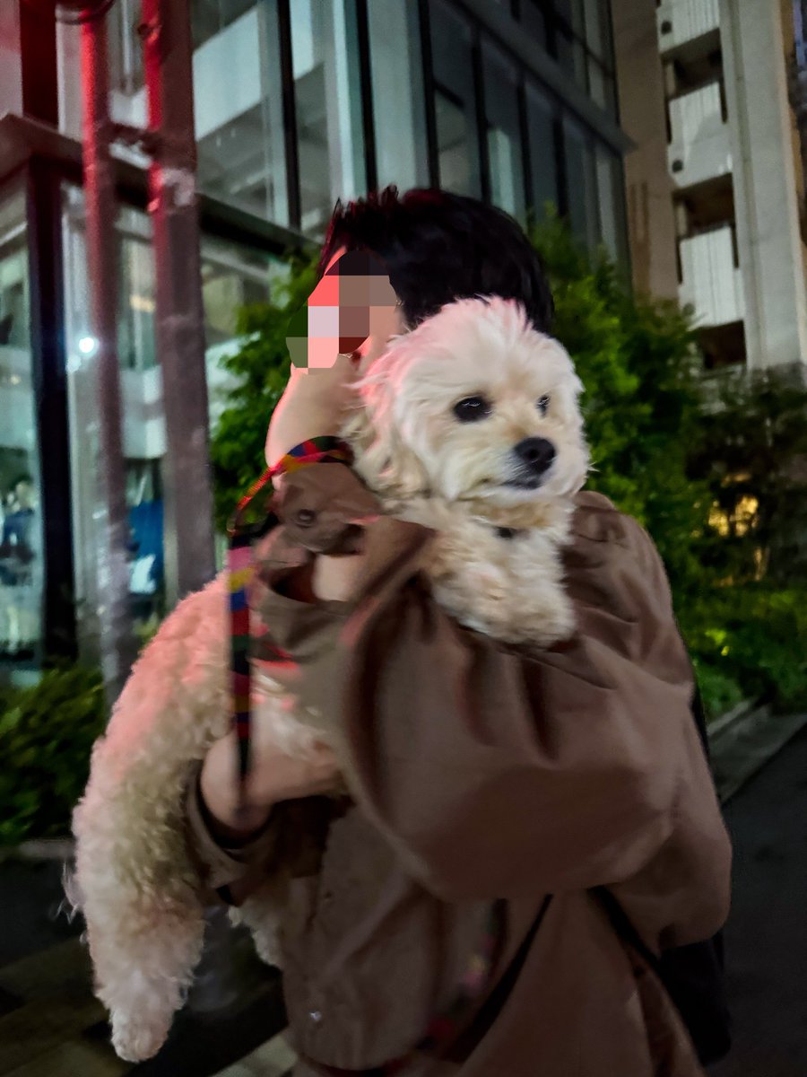 inu_beer tweet media