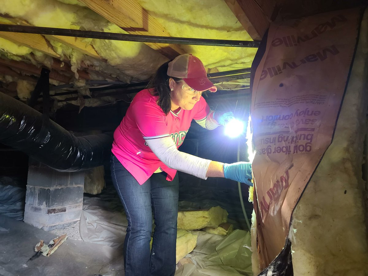 InvictaPest's tweet photo. Need a thorough inspection, Raleigh homeowners? 🔦 At Invicta Pest Control, we know peace of mind starts with a free, detailed look at what’s really happening in your home. Elizabeth, our Mom-Owned leader, wants every family to feel confident, protected, and cared for. 1) Free https://t.co/GBsGOnCWqn