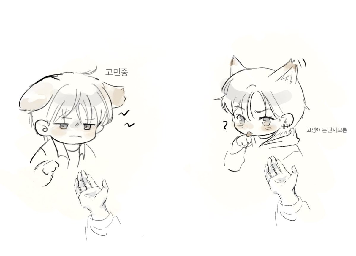 삼정식 tweet media
