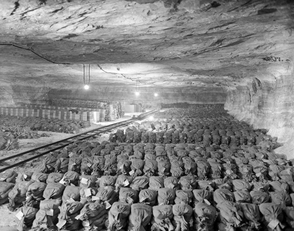 WW2 The Eastern Front tweet media