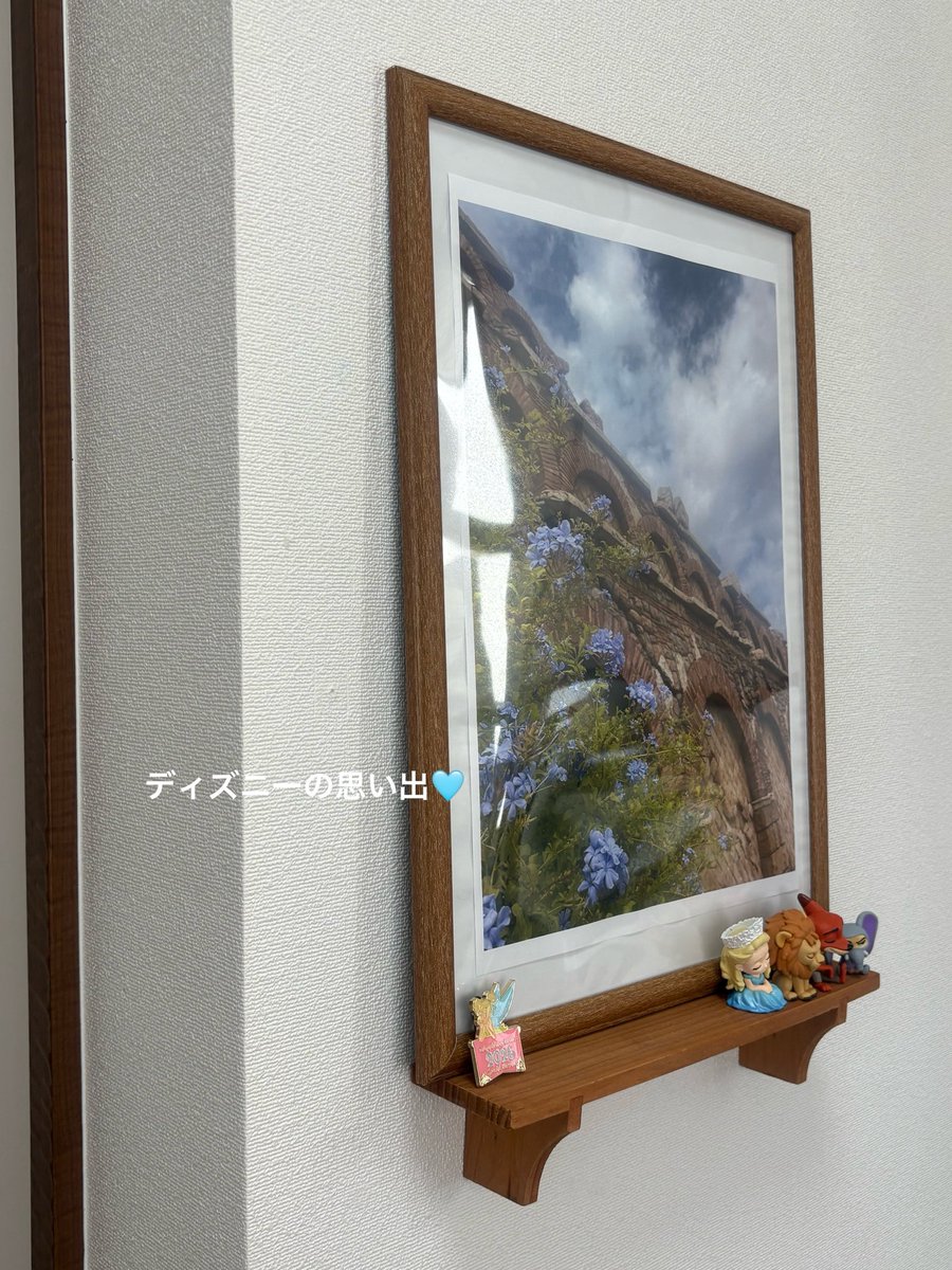 彩 tweet media