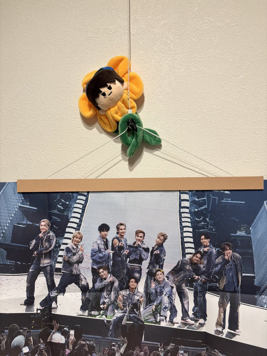 nyoy03's tweet photo. AKフラワーの茎が曲がるの今更知ったから、MIRRORポスターの守護神になってもらった😇 https://t.co/jqAa8eyb7A