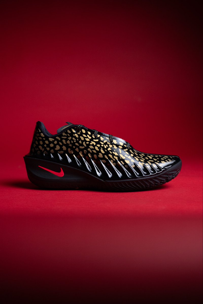 Sole Fly tweet media