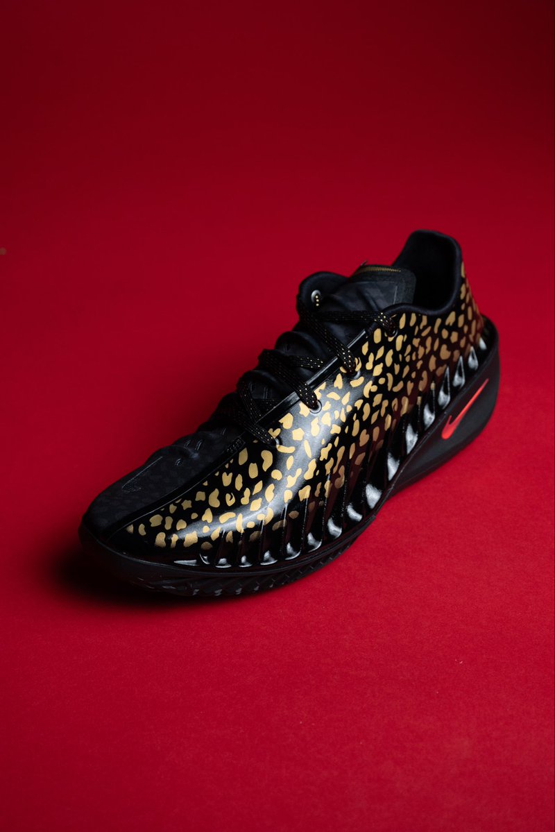 Sole Fly tweet media