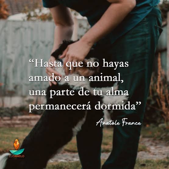 Elvira Esther tweet media
