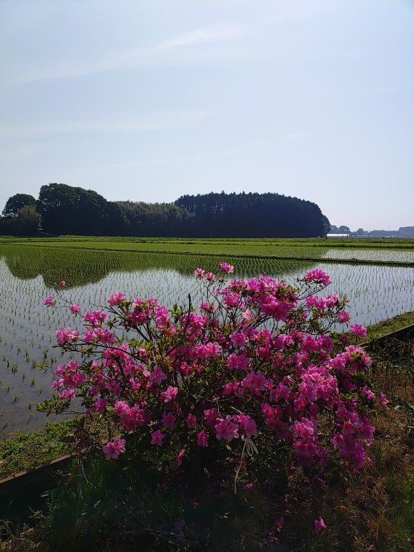 スラム tweet media