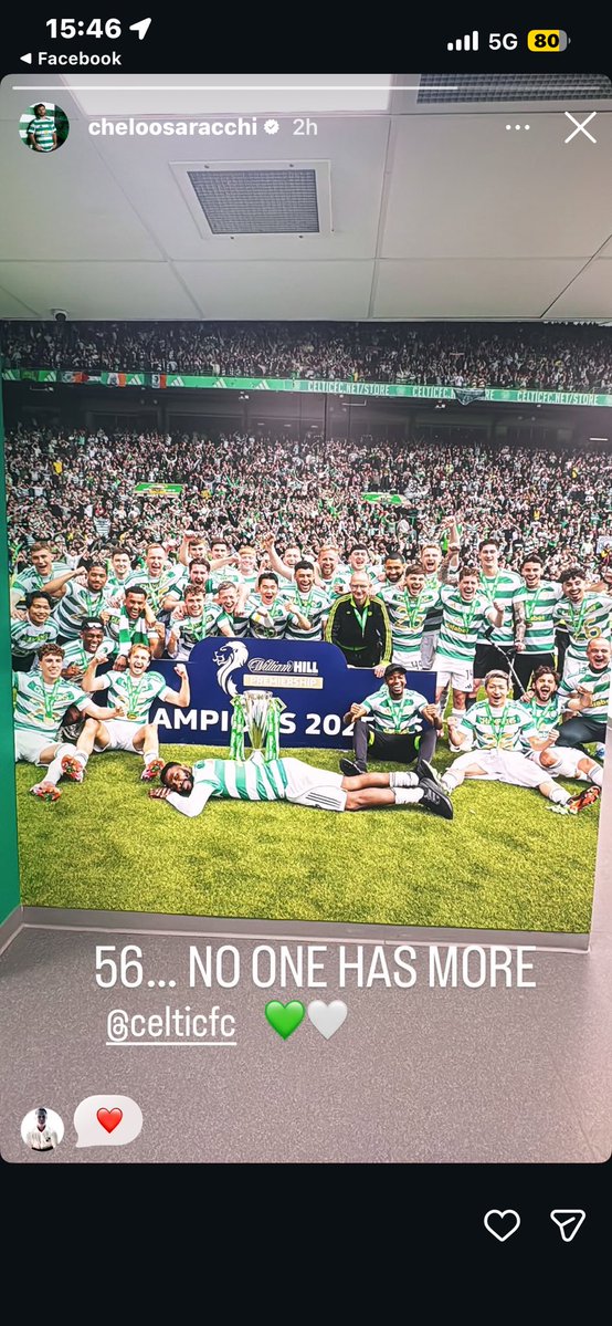 shannon 🍀 tweet media