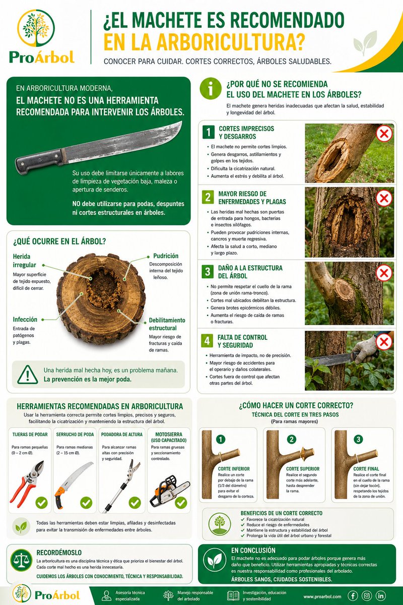 PROÁRBOL tweet media