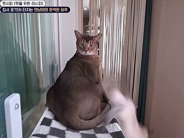 แอลมู่555 tweet media