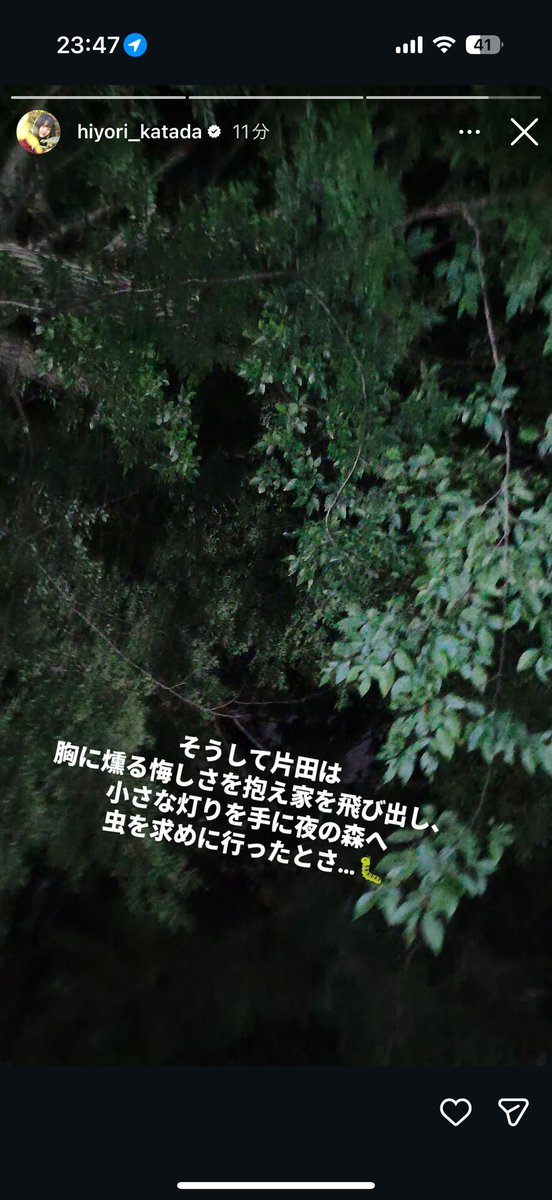 toripoooon's tweet photo. ほんとにかわいい https://t.co/aBX2EkUTCc