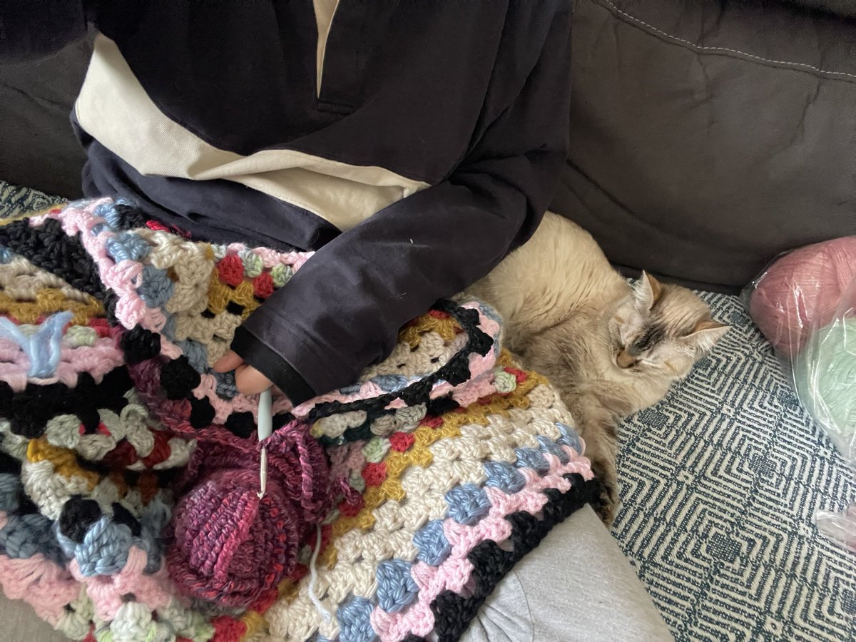 _rphll_'s tweet photo. Mon bb qui m’accompagne dans mon crochet https://t.co/gd4rHAhgCo