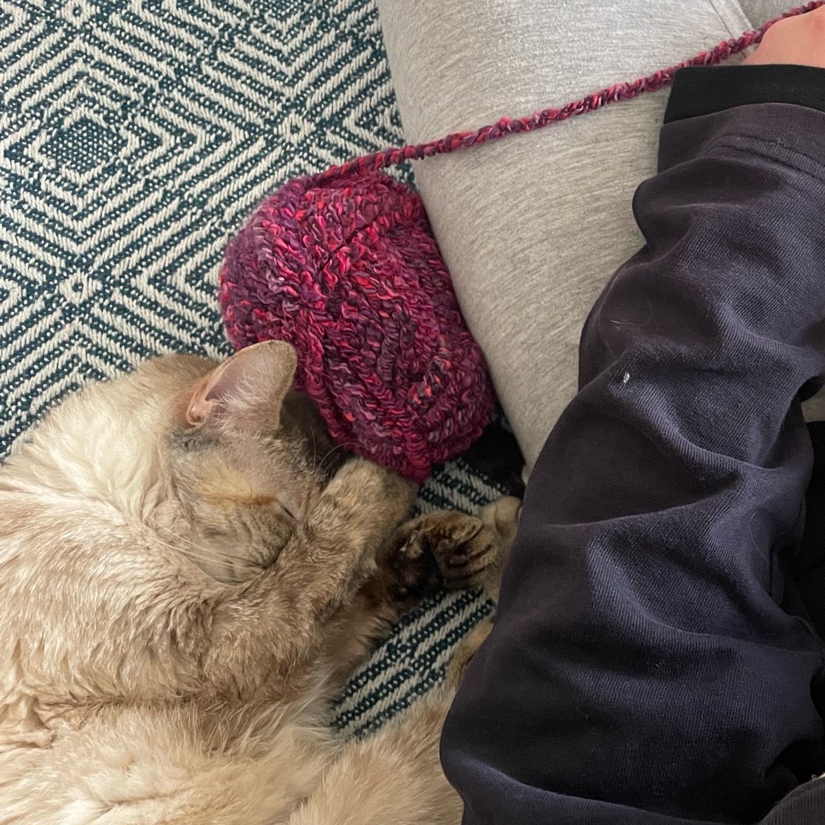 _rphll_'s tweet photo. Mon bb qui m’accompagne dans mon crochet https://t.co/gd4rHAhgCo